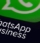 WhatsApp-Business-Account (1)